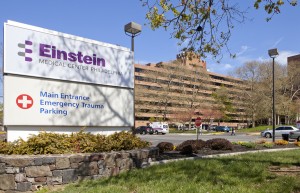 Einstein Sign
