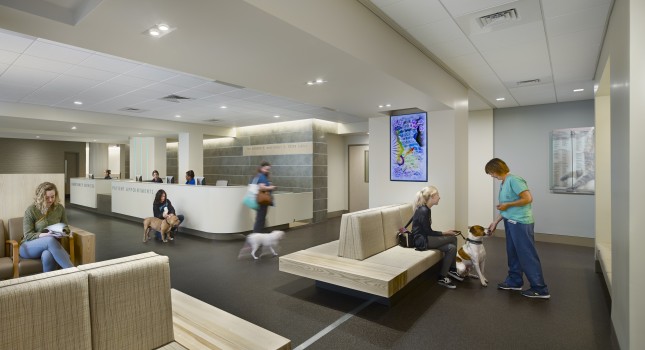 Ryan Veterinary Hospital Featured in Commercial Architecture Magazine